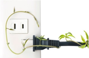 Energie bekommen Der Stecker ist nicht in die Steckdose gesteckt, wird von einer grünen Pflanze gehalten und zur Steckdose geführt. Energie bekommen.